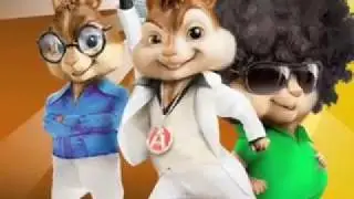 Shaggy angel chipmunk style