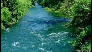 Run wild and free like a water. #soothingmusic #soothingrelaxation #soothingsounds