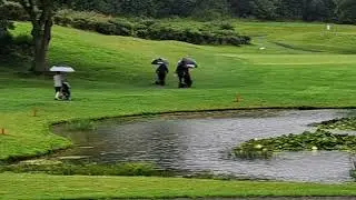 495 Wetherby Golf Club . Smithy 100 Golf Courses in a Year