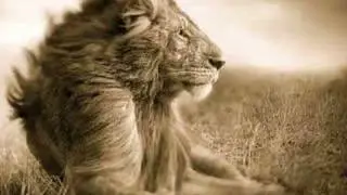 When I'm Gone ~ Nina Storey