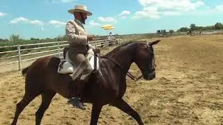 OLIVIER BOUTAUD MEJANES JUILLET 2018