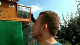 cómo adaptar un palomo buchon