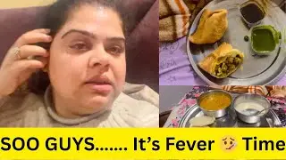 Punjab Trip Ke Baad Fever Ho Gaya | Travel Reality | Daily Vlog #avlogaday #dailyvlog #fever #winter