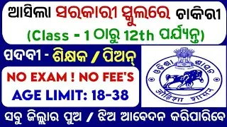 ସରକାରୀ ସ୍କୁଲରେ ଚାକିରୀ | Government School Recruitment 2025 | New Jobs Vacancy in Odisha