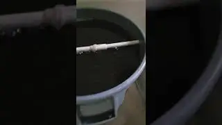 Compost Tea Brew w/Boogie Brew Products