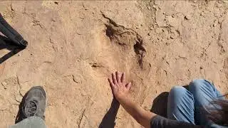 Epic Dinosaur Tracks Near Moab, Utah – And the Time I Fell Through a Rock!
