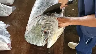 GIANT Mahi-Mahi Amazing Cutting and Fillet to piece
