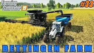 FS 19 | Bettingen Farm | Timelapse #33 | Harvesting canola and soybean, sheep feeding