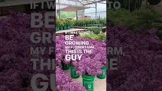Comment BULBS in IG or FB and I&rsquo;ll DM you the link to sneak peek a session from the course on tulips