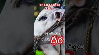 DVR Memorial Dhira Song Coming Soon&hellip; | Our Ongole Money | #trending #shots #dvr #dvrmemorial