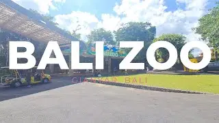 VLOG BALI HARI KE 6, BALI ZOO | Zea Noe On Vacation