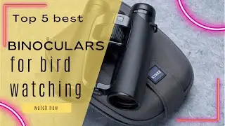Top 5 Best Binoculars for Bird Watching [Review in 2023]