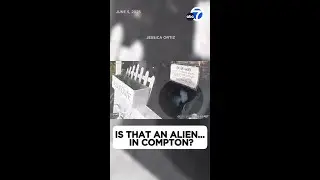 Video prompts speculation of 'alien' sighting outside Compton home