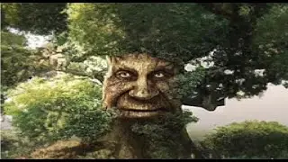 🔴NEW HARDEST RN🔴 Forest Temple 58-100 // kREVIVE