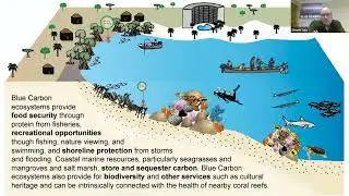 Our oceans: A deep dive on blue carbon