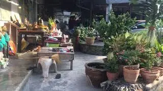 Отель Калим резорт Пхукет