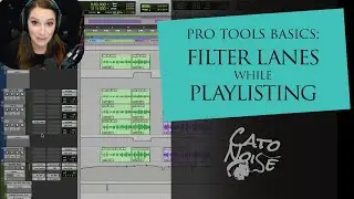 Pro Tools Basics: Filter Lanes, Rating and Filtering Your Playlists