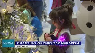 Eastman Credit Union brings Disney to life for Make-A-Wish recipient