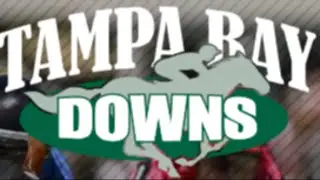 Tampa Bay Picks Race 6 - January 21, 2026