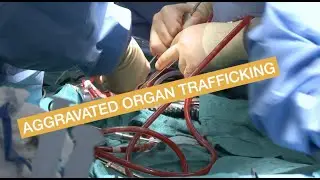 Aggravated Organ Trafficking | Sydney Criminal Lawyers&reg;