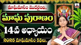 Ramaa Raavi - మాఘ పురాణం 14వ రోజు కథ || 2026 Magha Puranam || Magha Puranam Part - 14 || SumanTV