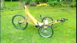 E bike Trike all wood
