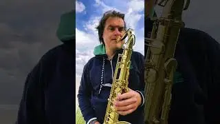 #westcoast #seaside #jazzstandard #saxophone #jazz #Ameland