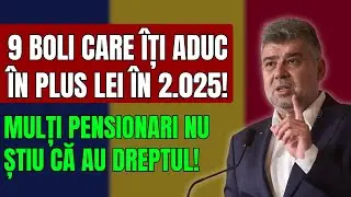 9 Boli care &icirc;ți aduc &icirc;n plus lei &icirc;n 2.025! Mulți pensionari nu știu că au dreptul!