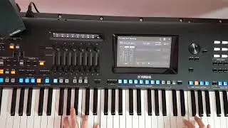 Близнецы - Не любящий вид ☆Yamaha GENOS☆   █▬█ █ ▀█▀