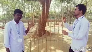 solar concrete flat plate collector