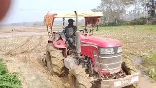 মহেন্দ্র 585 Di কত সুন্দর চাষ দিচ্ছে 