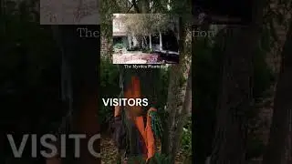 The Myrtles Plantation  #horror #scary #trending