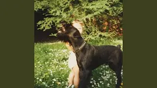 Off (feat. Torky Tork)
