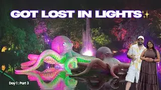 TSB Magical Lights Festival New Plymouth ✨ | Night Walk, Lights & Vibes | NZ Couple Travel