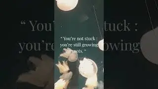 You&rsquo;re not stuck. #aestheticshorts #quotes #selfgrowth #motivation #healingvibes #healing #aesthetic