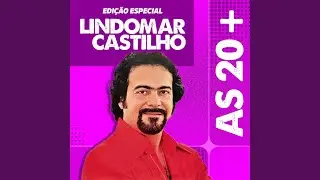 O Bebum (Um Ébrio A Mais)