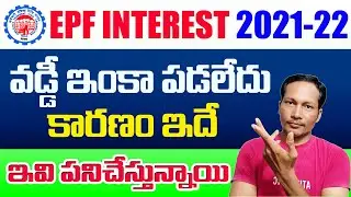 EPF Interest Not credited Into My EPF Account || EPF Vaddi Update 2022