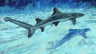 Timelapse - Silvertip shark - Acrylic painting