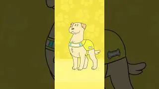 Meet Kika! 💛 The Amazing Guide Dog | Dog Squad