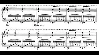 Jean Sibelius &ndash; Piano Sonata in F major, Op 12 (Howard)