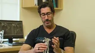 OSNC: Dr. Hartman Shoulder Replacement - Your Condition