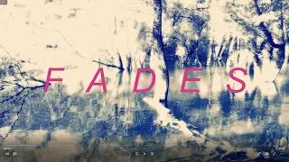 Stefano Panunzi (feat. Tim Bowness) - Fades (Official Video)