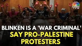 Pro-Palestine Protesters Call Antony Blinken A 'War Criminal' During Senate Speech | N18G