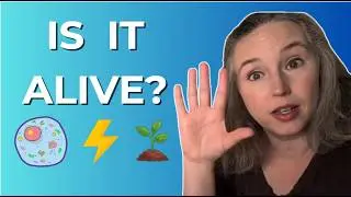 8 характеристик живых существ (краткое руководство)