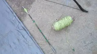 Tree Work Shooting Line with Bow to Take Down Tall Dead Pine Trees