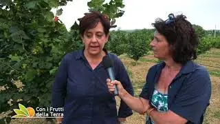 Nocciolo e Quinoa: in Umbria per scoprire i progetti su queste colture