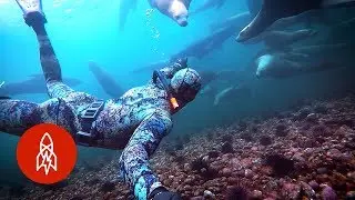 Protecting the Planet with Earth's Guardians