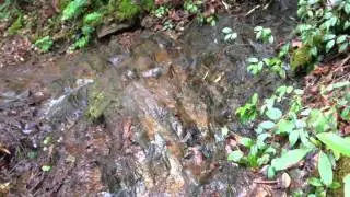Appalachian Trail Hike - update 04