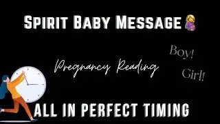 Spirit Baby Reading🤰All In Perfect Timing 🎁🎉