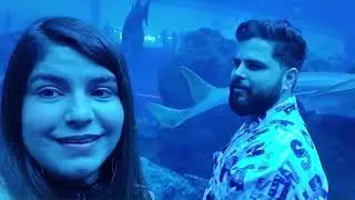 Burj Khalifa Dubai Mall Aquarium Fountain Show
